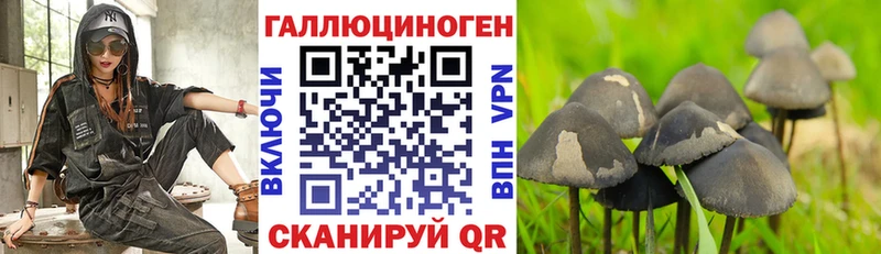 продажа наркотиков  ОМГ ОМГ зеркало  Псилоцибиновые грибы мицелий  Каспийск 