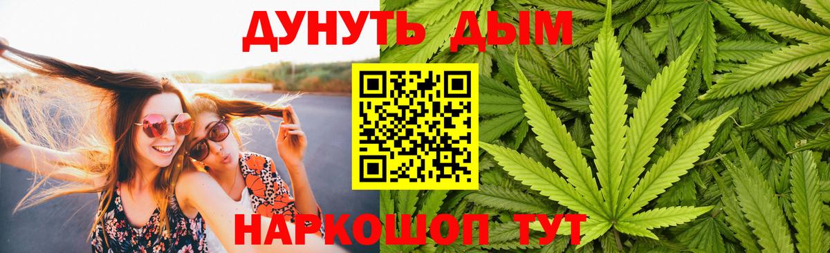 Конопля сатива Каспийск